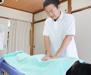 施術・機械・鍼灸