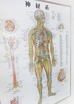 症例：膝痛について